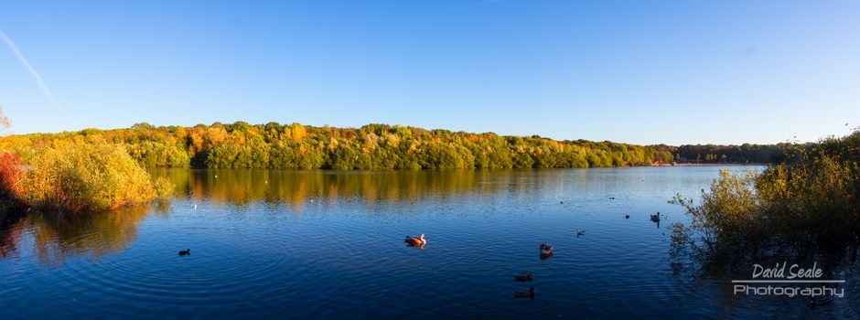 A crisp sunny day at Ruislip Lido