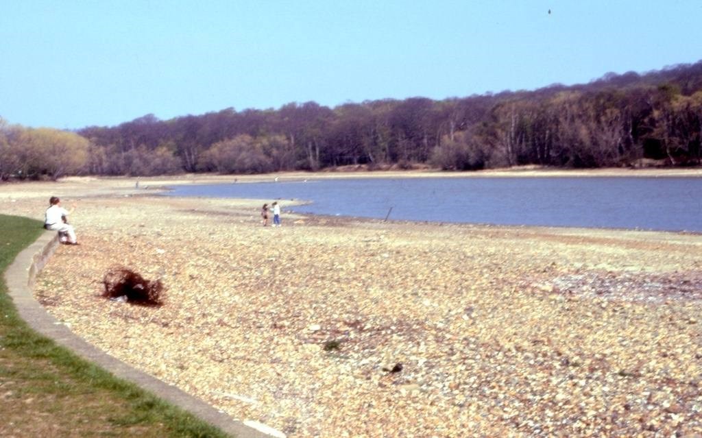 Low Water Level At Ruislip Lido