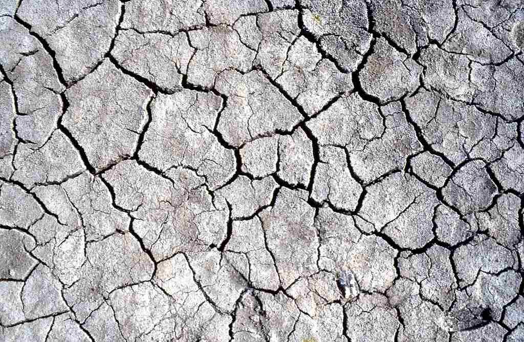 A Dried Out Ruislip Lido And The Baked Ruislip Lido Mud