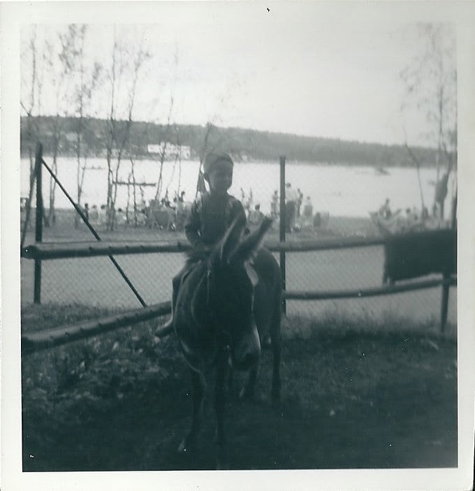 Donkey Rides At The Lido