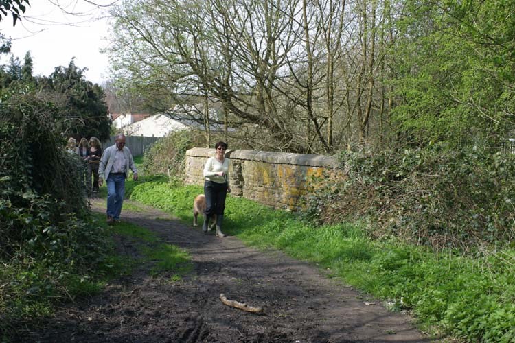 Ruislip Lido Canal Feeder Near Ickenham