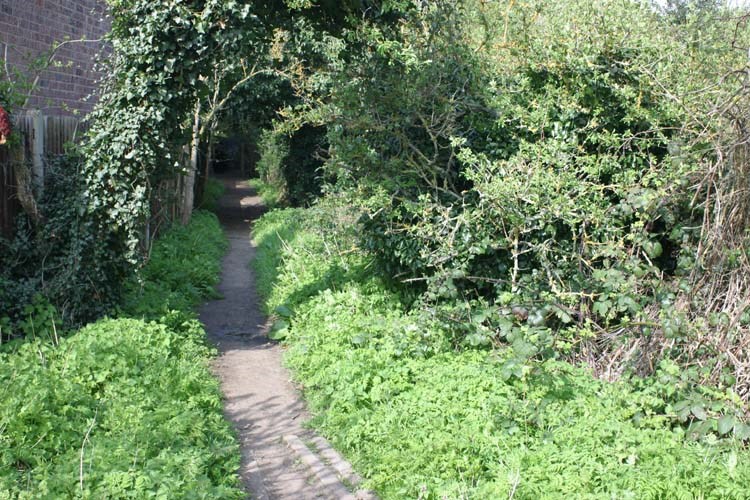Ruislip Lido Canal Feeder Near The Railway