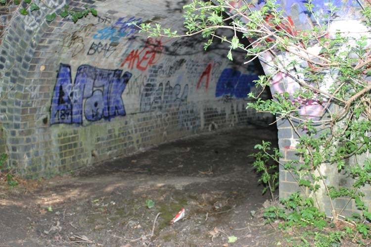 Ruislip Lido Canal Feeder Cattle Tunnel
