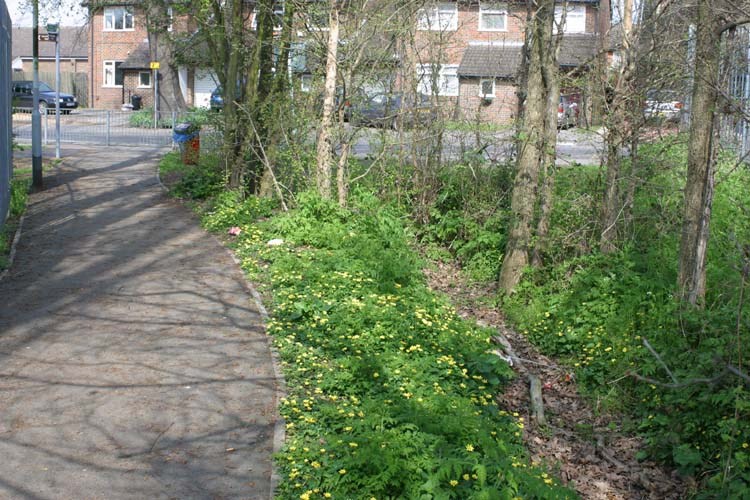 Ruislip Lido Canal Feeder Near Ladygate Lane