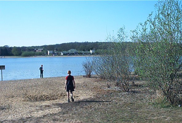 Looking Over ​Ruislip Lido Towards The Waters Edge Pub
