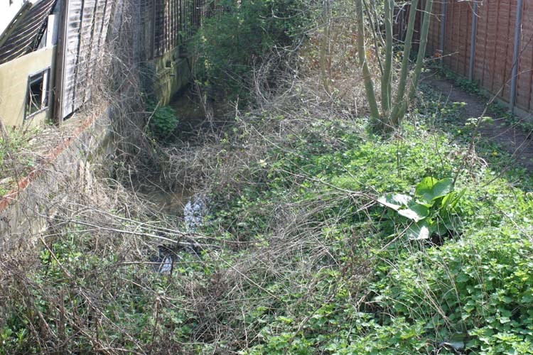 Ruislip Lido Canal Feeder The Green Ickenham