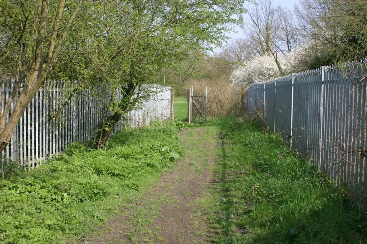 Ruislip Lido Canal Feeder In Ickenham