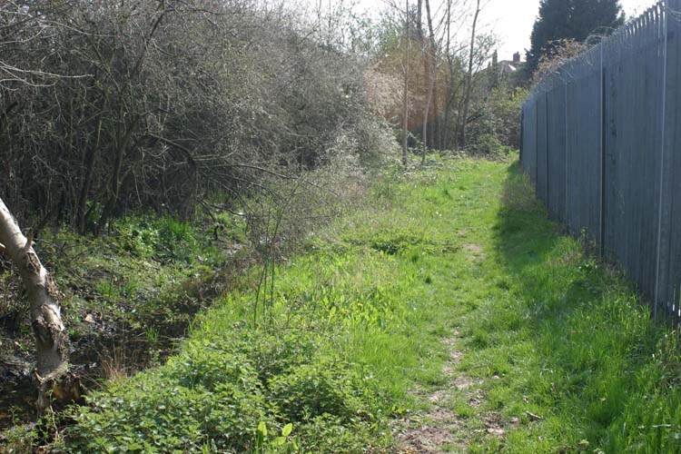 Ruislip Lido Canal Feeder Overgrown Ditch