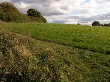 Canal feeder over Priory Field