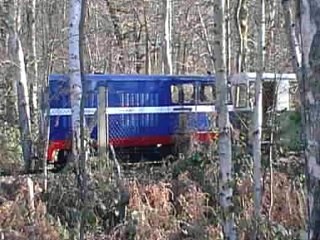 A Train In The Woods At Ruislip Lido