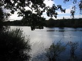 Through the trees at Ruislip Lido